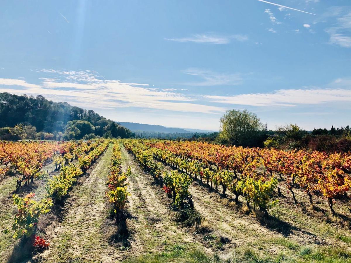 La Maison D Ame - For The Perfect Stay At The Mont Ventoux 马洛塞讷 外观 照片