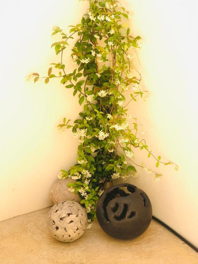 La Maison D Ame - For The Perfect Stay At The Mont Ventoux 马洛塞讷 外观 照片