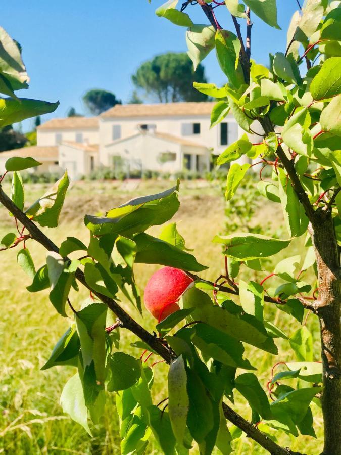 La Maison D Ame - For The Perfect Stay At The Mont Ventoux 马洛塞讷 外观 照片